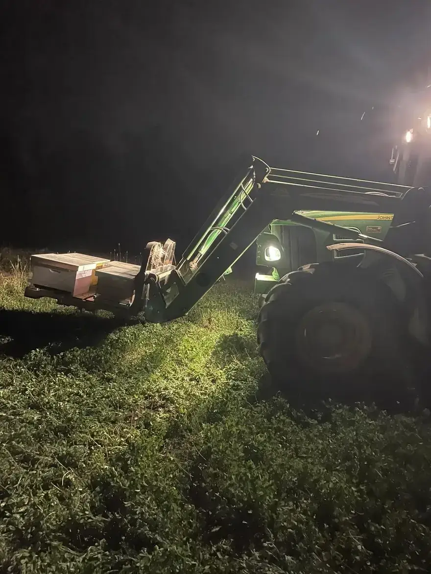 Tracteur avec chargeur frontal soulevant une palette de ruches dans un champ, la nuit